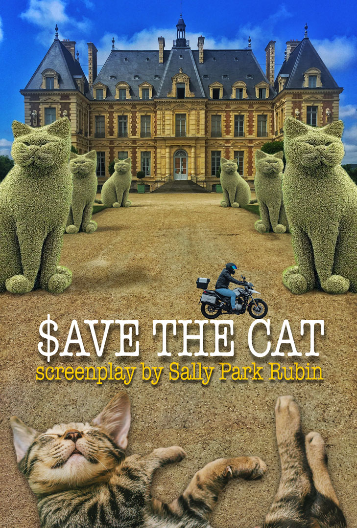 Save the Cat poster